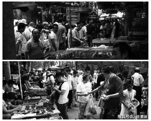 西安美食爆料小姐姐视频,跟随小姐姐视频解锁地道风味  第1张